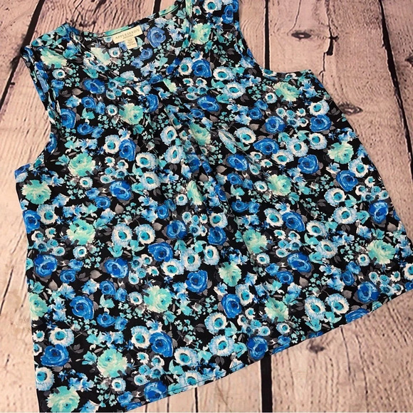 Appleseed floral blouse size 16P - Picture 1 of 6